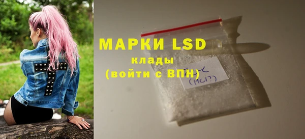spice Аркадак