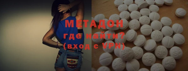 индика Арсеньев