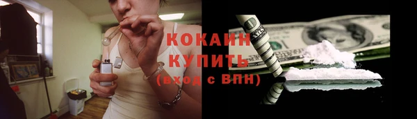 spice Аркадак