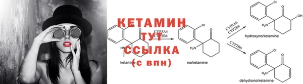 индика Арсеньев