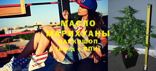 индика Арсеньев