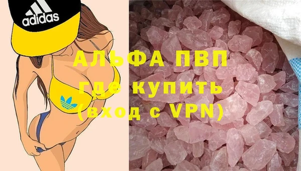 spice Аркадак
