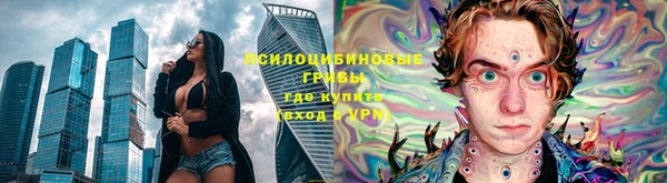 молекула духа Армянск